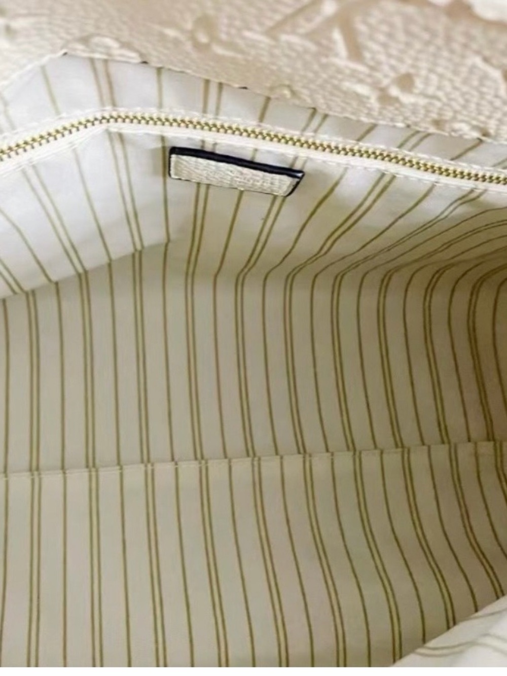 Cream Striped Interior Women’s Tote Bag @anitarussell